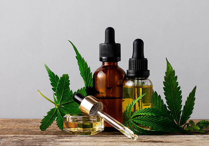 Blog CBD Estudos