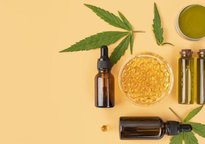 Blog CBD Estudos