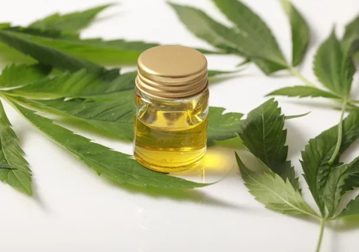 Blog CBD Estudos